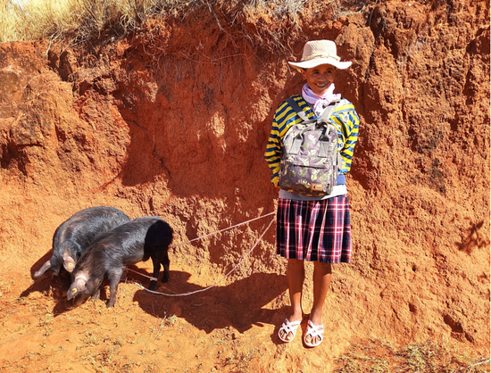 Caja de herramientas para el control y el manejo de Taenia solium  H0064SP