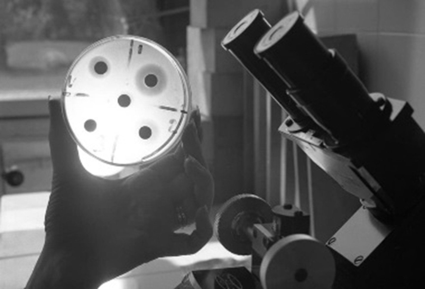 Basic microbiology H0071EN