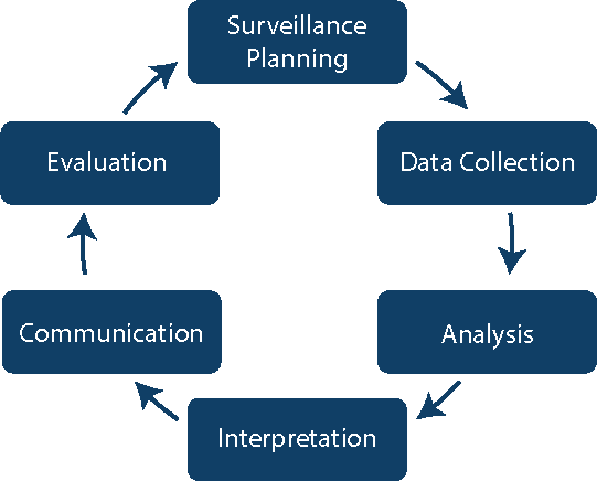 Healthcare associated infection surveillance H0073EN