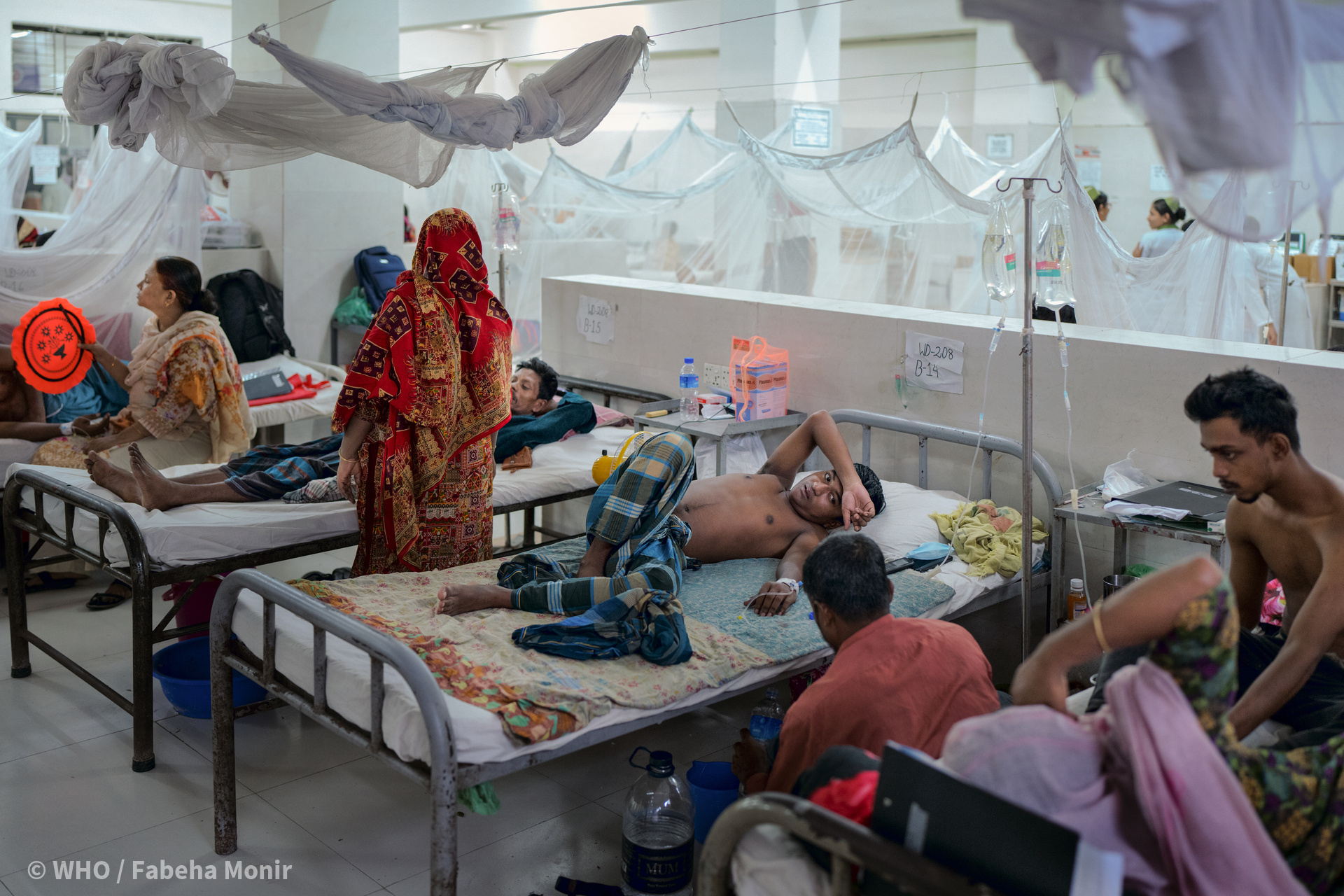 दक्षिण-पूर्व एशिया क्षेत्र में डेंगू रोगियों का नैदानिक प्रबंधन H0087HI