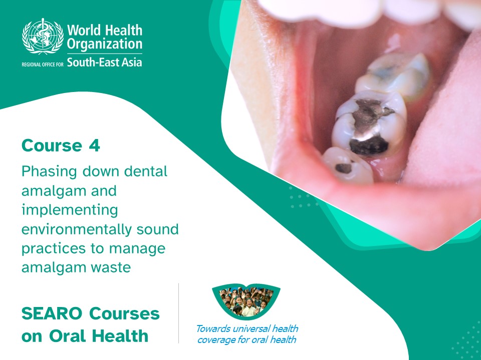Phasing Down Dental Amalgam and Implementing Environmentally Sound Practices to Manage Amalgam Waste H0094EN