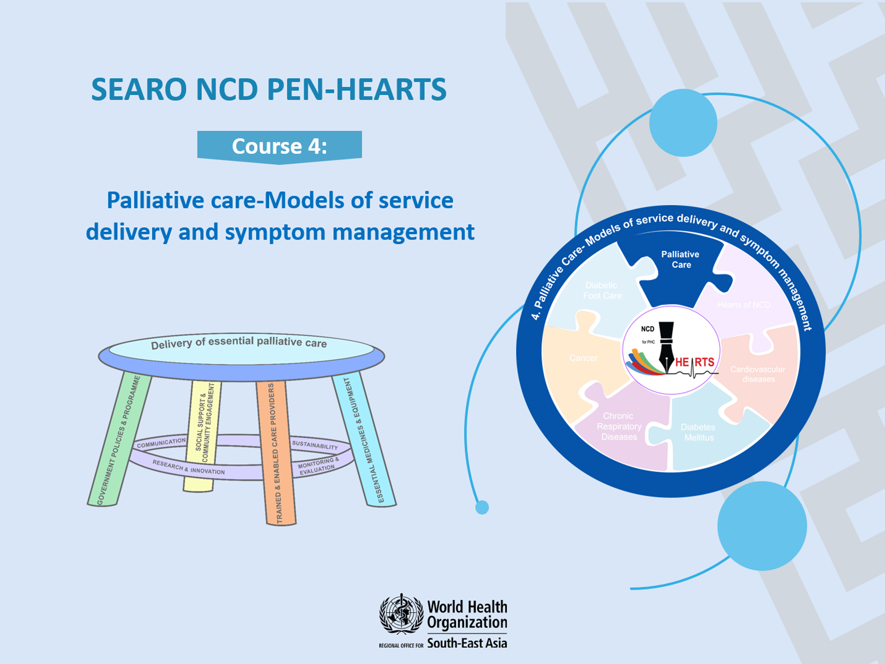 Palliative care: Models of service delivery and symptom management H0097EN
