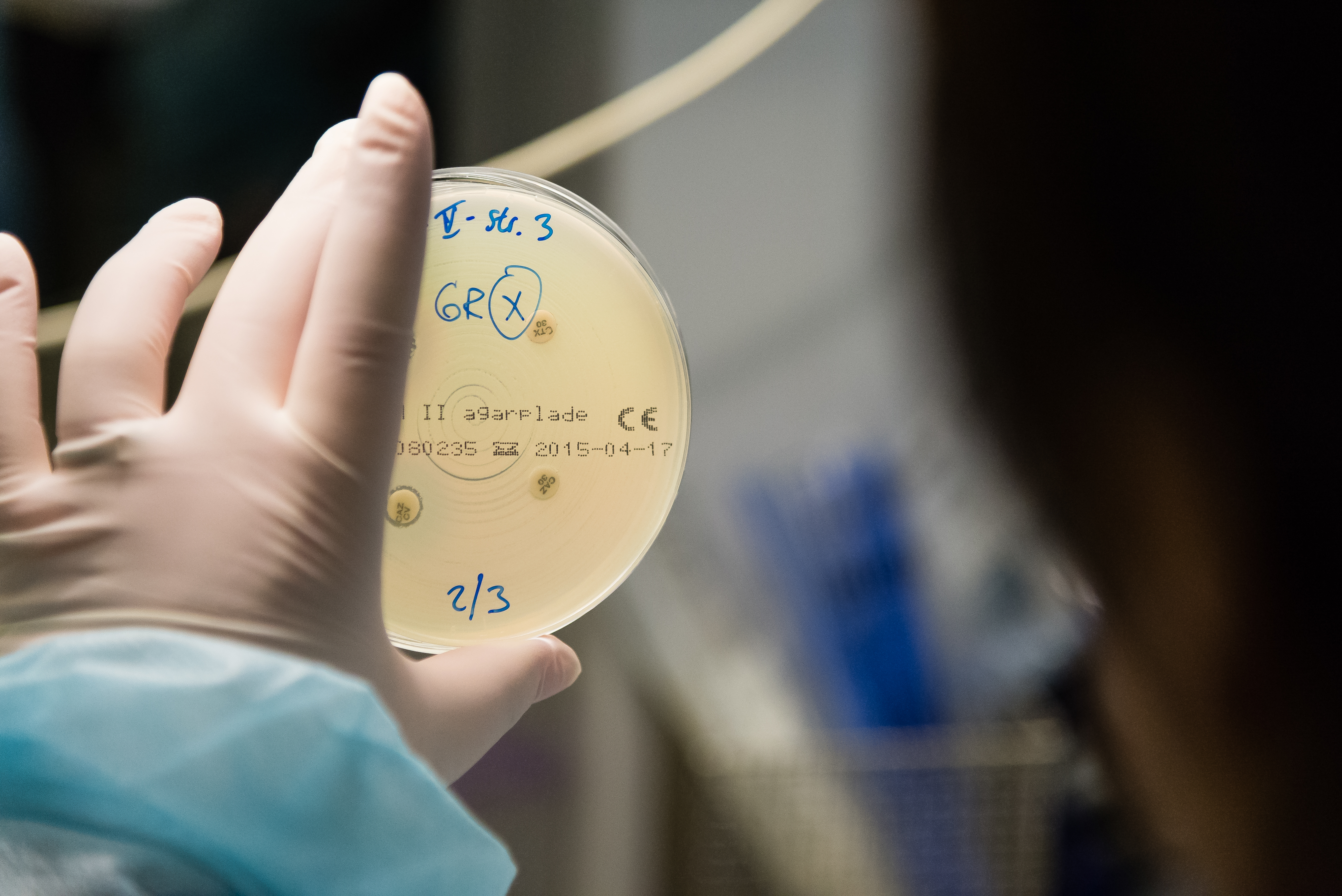 Antimicrobial Stewardship: A competency-based approach H0098EN